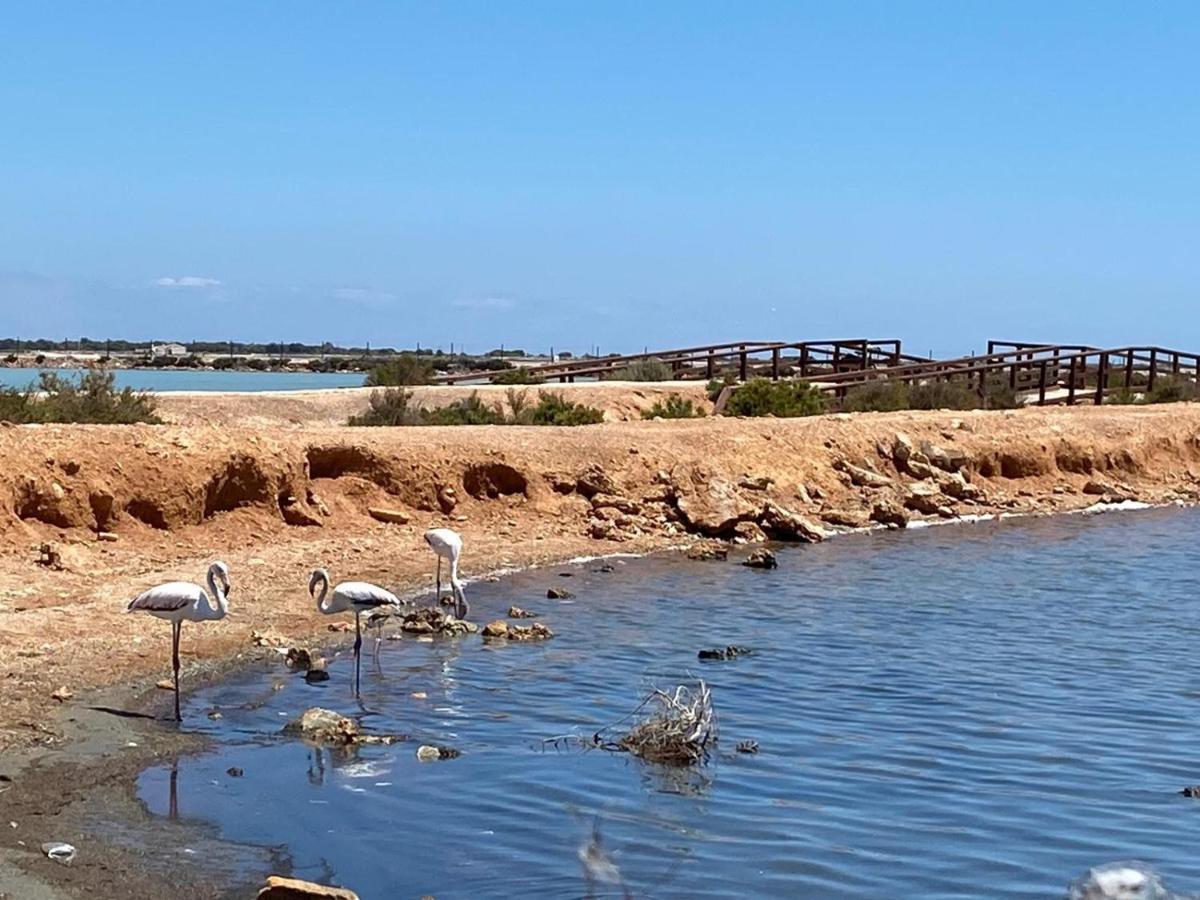 Villamar 19 - Planta Baja Con 2 Terrazas Cerca De Las Salinas San Pedro del Pinatar Esterno foto
